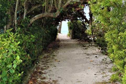 Appartement à louer à Treasure Island, Floride: 1 chambre, 66.89 m2 № 2424352 - photo 23