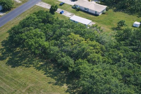 Land in Oak Hill, Florida № 2161482 - photo 4