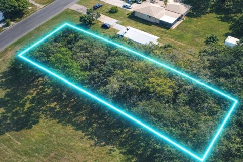 Land in Oak Hill, Florida № 2161482 - photo 3