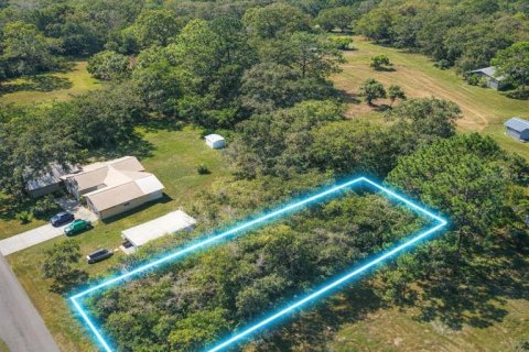 Land in Oak Hill, Florida № 2161482 - photo 5