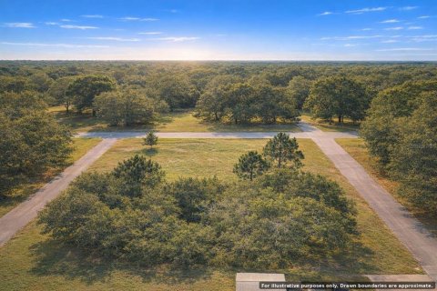 Land in Oak Hill, Florida № 2161482 - photo 10