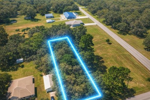 Land in Oak Hill, Florida № 2161482
