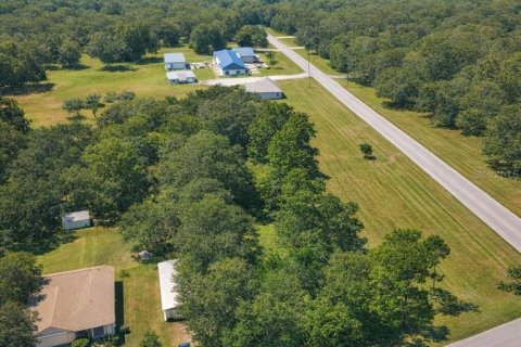 Land in Oak Hill, Florida № 2161482 - photo 2