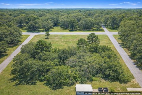 Land in Oak Hill, Florida № 2161482 - photo 7