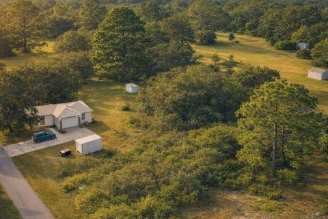 Land in Oak Hill, Florida № 2161482 - photo 14