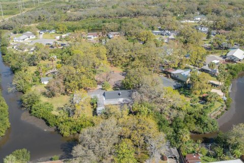Villa ou maison à vendre à Tampa, Floride: 4 chambres, 250.56 m2 № 1789071 - photo 7