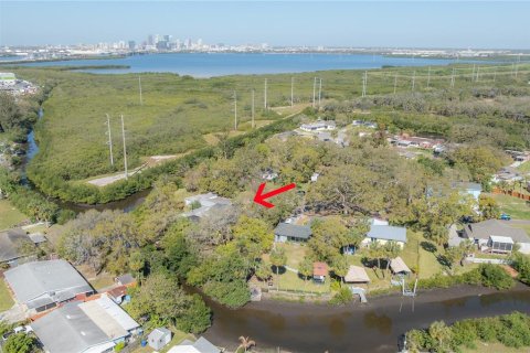 Villa ou maison à vendre à Tampa, Floride: 4 chambres, 250.56 m2 № 1789071 - photo 8