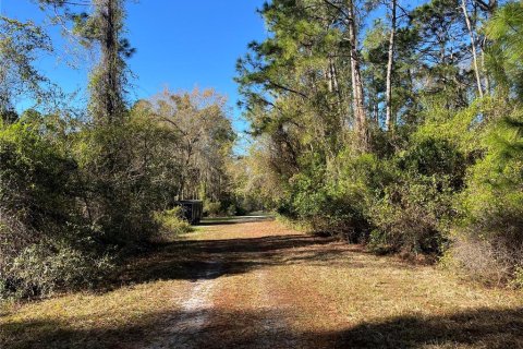 Terreno en venta en Georgetown, Florida № 2161314 - foto 4