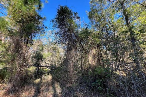 Terreno en venta en Georgetown, Florida № 2161314 - foto 5