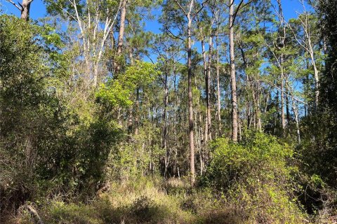 Terreno en venta en Georgetown, Florida № 2161314 - foto 2