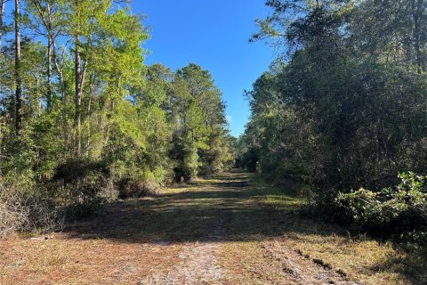 Land in Georgetown, Florida № 2161314