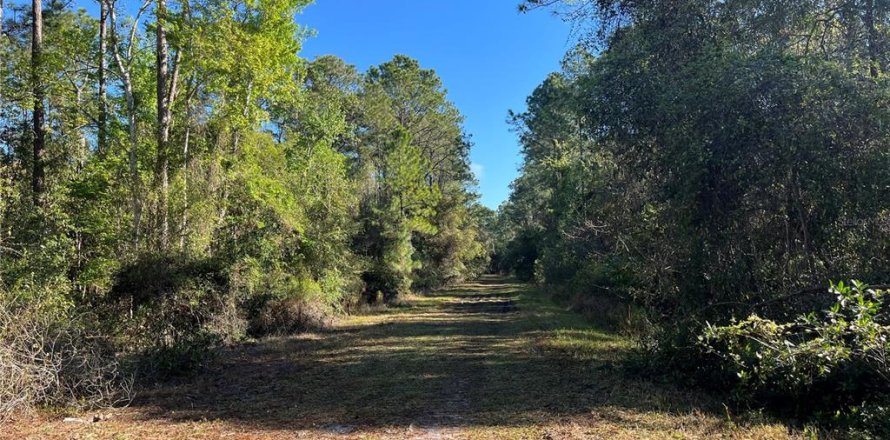 Terreno en Georgetown, Florida № 2161314