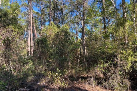 Terreno en venta en Georgetown, Florida № 2161314 - foto 3