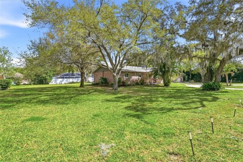 Villa ou maison à vendre à Palm Harbor, Floride: 5 chambres, 224.08 m2 № 2152141 - photo 4
