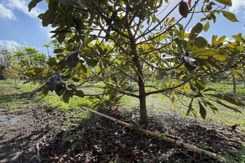 Immobilier commercial à Homestead, Floride № 2051867