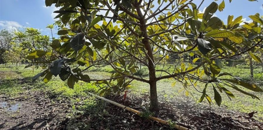 Immobilier commercial à Homestead, Floride № 2051867