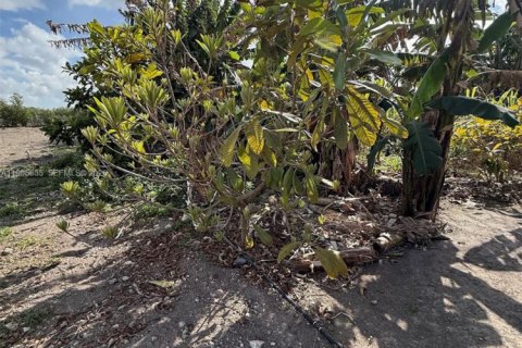 Immobilier commercial à vendre à Homestead, Floride № 2051867 - photo 3