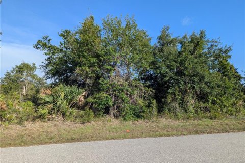 Land in Port Charlotte, Florida № 370099 - photo 14