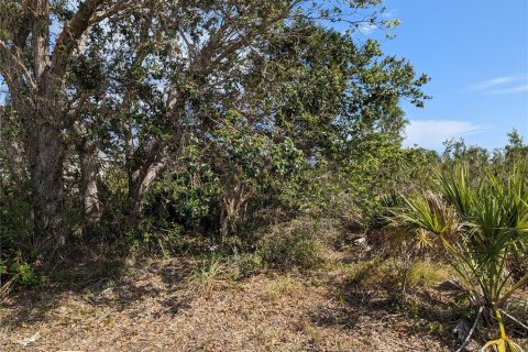 Land in Port Charlotte, Florida № 370099 - photo 4