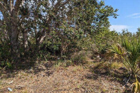Land in Port Charlotte, Florida № 370099 - photo 6