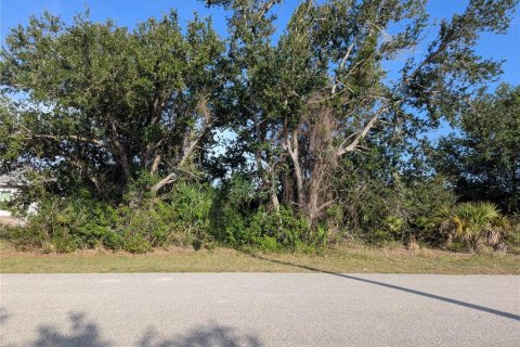 Land in Port Charlotte, Florida № 370099 - photo 17