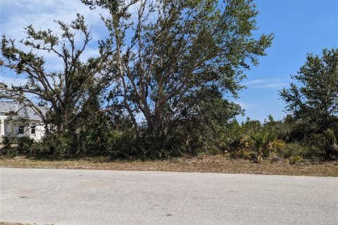 Land in Port Charlotte, Florida № 370099 - photo 3