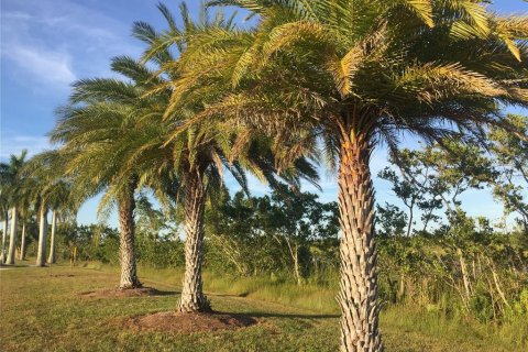Land in Port Charlotte, Florida № 370099 - photo 10
