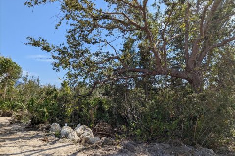 Land in Port Charlotte, Florida № 370099 - photo 5