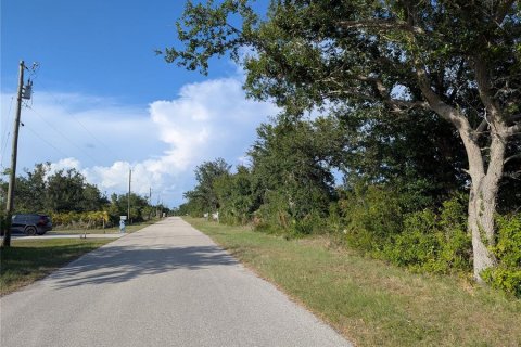 Land in Port Charlotte, Florida № 370099 - photo 12