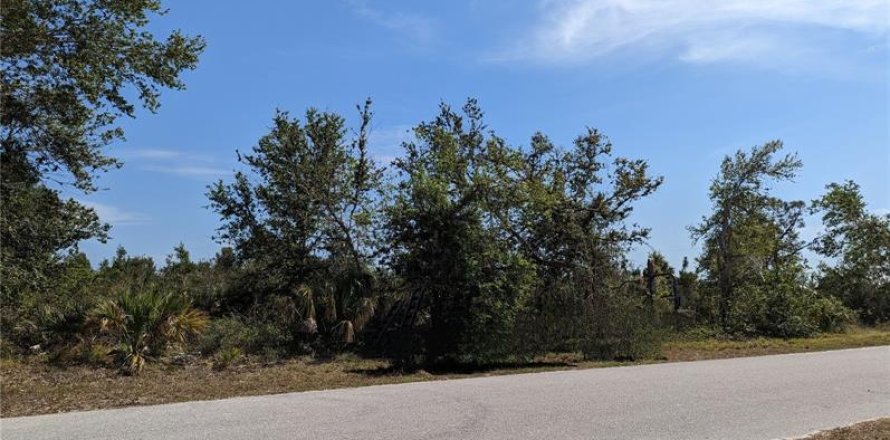 Land in Port Charlotte, Florida № 370099