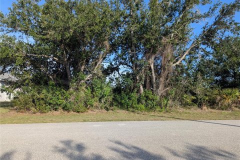 Land in Port Charlotte, Florida № 370099 - photo 20