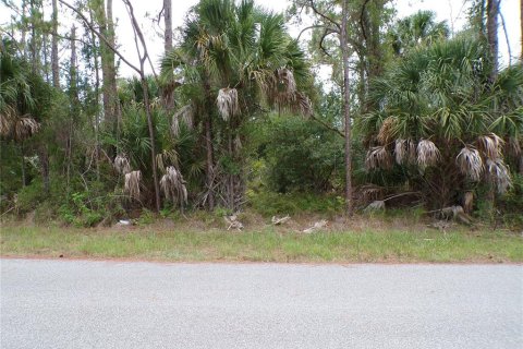 Terrain à vendre à North Port, Floride № 2158925 - photo 12