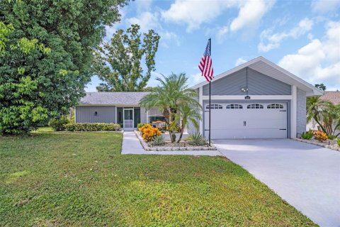 Villa ou maison à vendre à Palm Harbor, Floride: 2 chambres, 160.35 m2 № 1911001 - photo 1