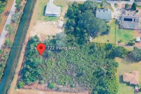 Land in Lehigh Acres, Florida № 2376090 - photo 3