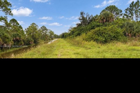 Land in Lehigh Acres, Florida № 2376090 - photo 9