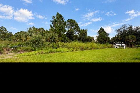 Land in Lehigh Acres, Florida № 2376090 - photo 10