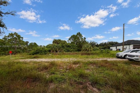 Land in Lehigh Acres, Florida № 2376090 - photo 7