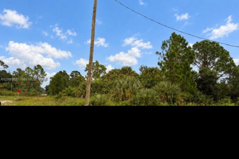 Land in Lehigh Acres, Florida № 2376090 - photo 8