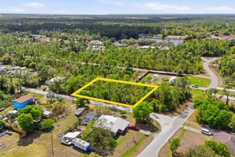 Terreno en Punta Gorda, Florida № 2155605