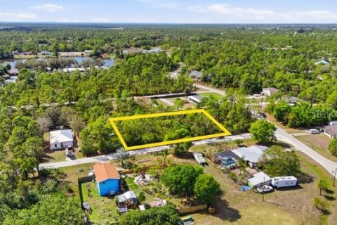 Terreno en venta en Punta Gorda, Florida № 2155605 - foto 5