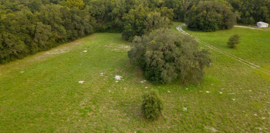 Propiedad comercial en Palatka, Florida 324.97 m2 № 769921