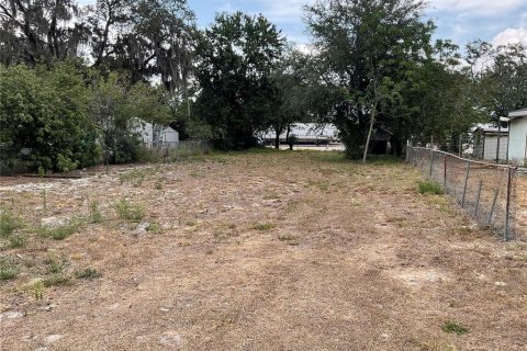 Terrain à vendre à Auburndale, Floride № 1680912 - photo 1