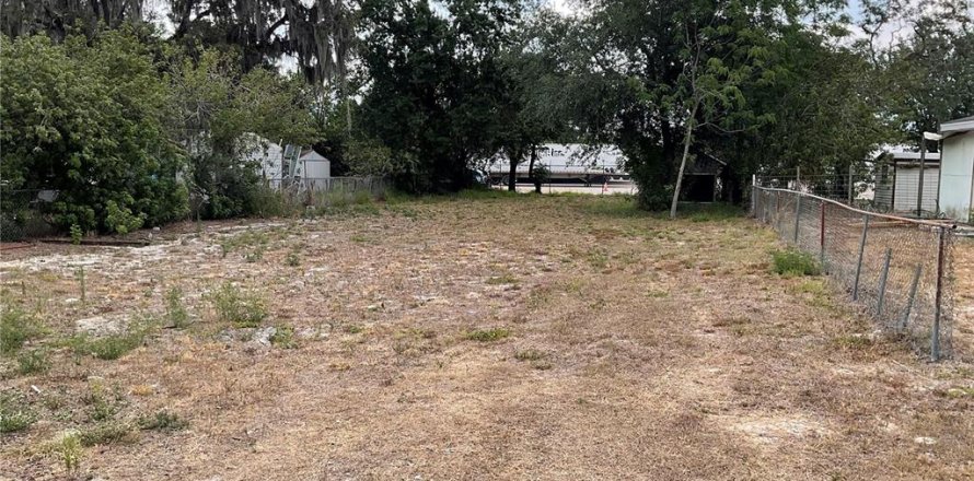 Terrain à Auburndale, Floride № 1680912