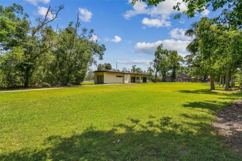 Land in Lutz, Florida № 1757842 - photo 6