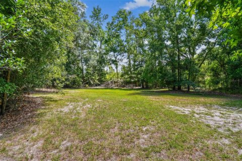 Land in Lutz, Florida № 1757842 - photo 10
