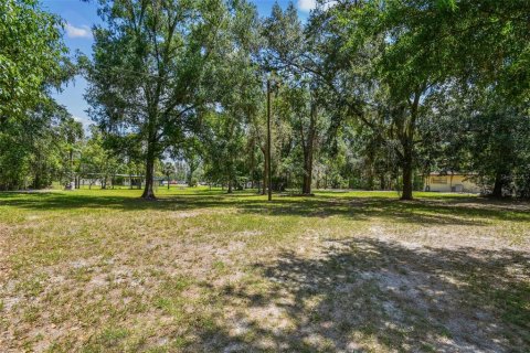 Land in Lutz, Florida № 1757842 - photo 9