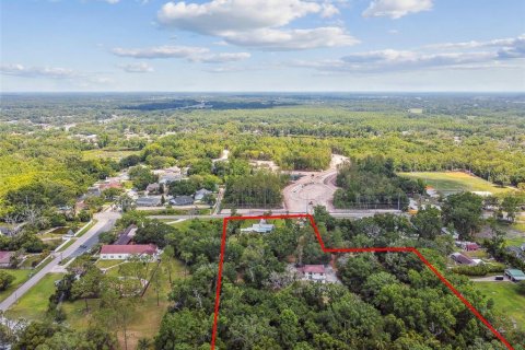 Land in Lutz, Florida № 1757842 - photo 2