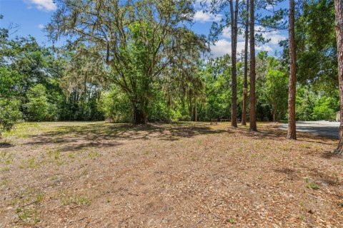 Land in Lutz, Florida № 1757842 - photo 8