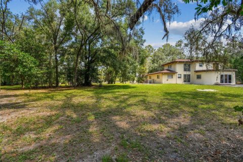 Land in Lutz, Florida № 1757842 - photo 12