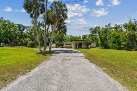 Land in Lutz, Florida № 1757842 - photo 13